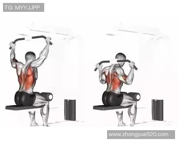 全面提升力量与耐力的哑铃训练指南与技巧分享